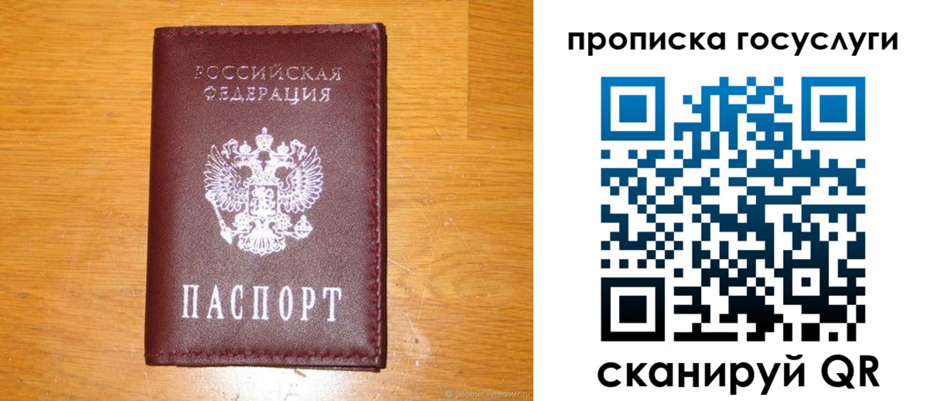 найти адрес прописки в Камчатской области