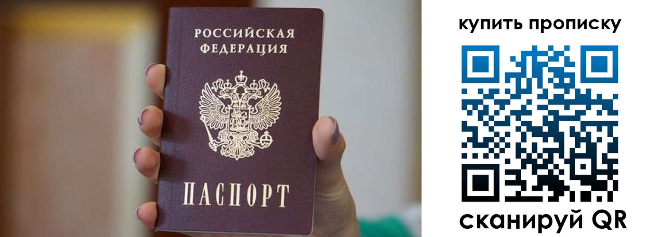 найти адрес прописки в Камчатской области